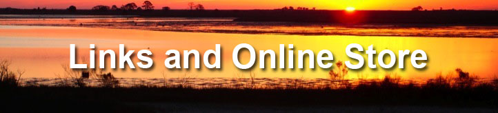 Online Store